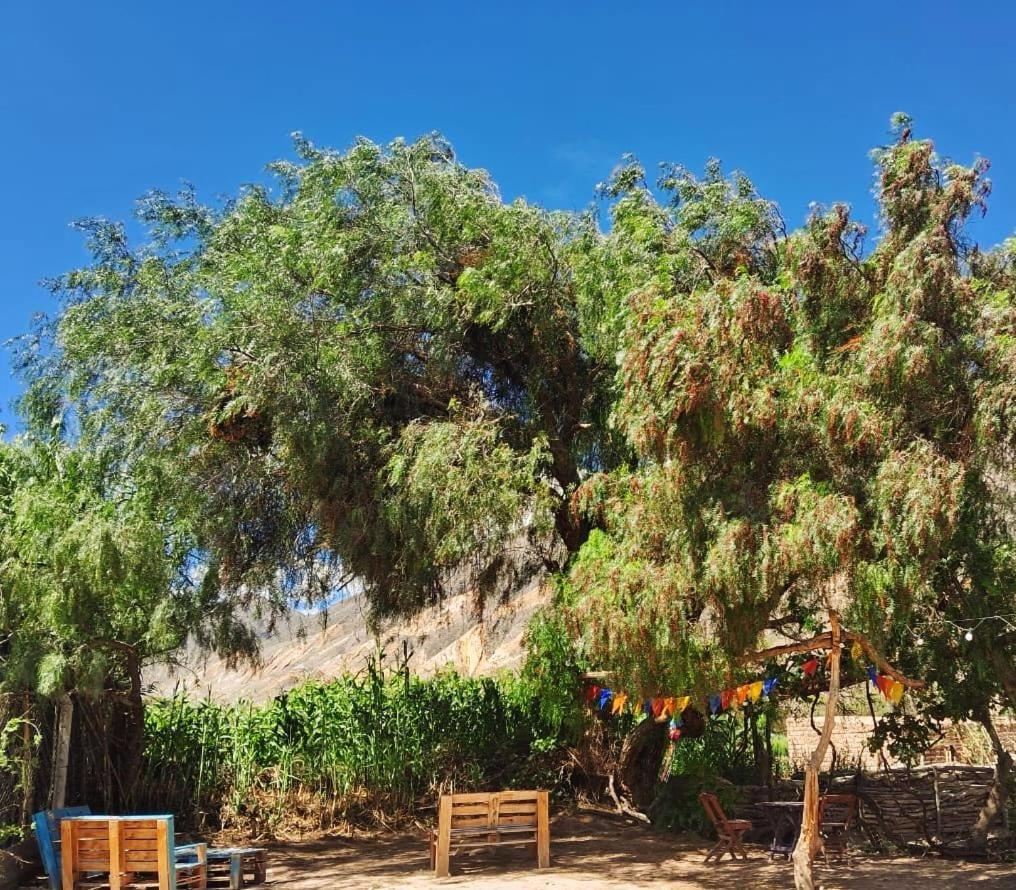 Cabanas Apu Маймара Екстер'єр фото